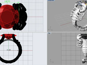 ring scorpion 3D Print Model