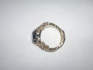 ring scorpion 3D Print Model