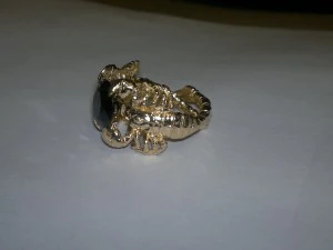 ring scorpion 3D Print Model