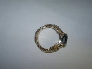ring scorpion 3D Print Model
