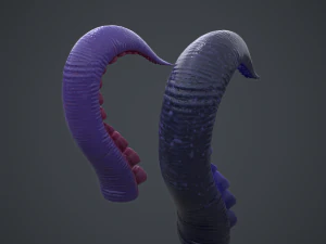 Tentacoli Modello 3D