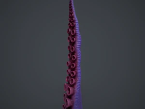 Tentacoli Modello 3D