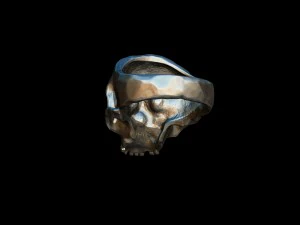 realistic skull ring 3d print model 3D Print Model