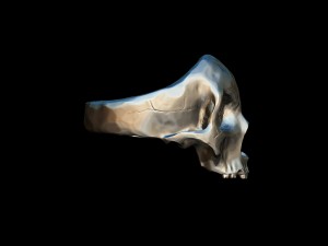 realistic skull ring 3d print model Modèles 3D en vedette