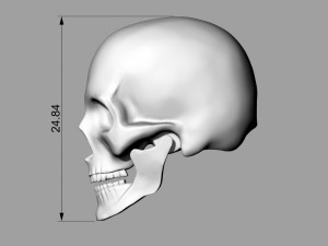 realistic skull pendant 3D-printmodel