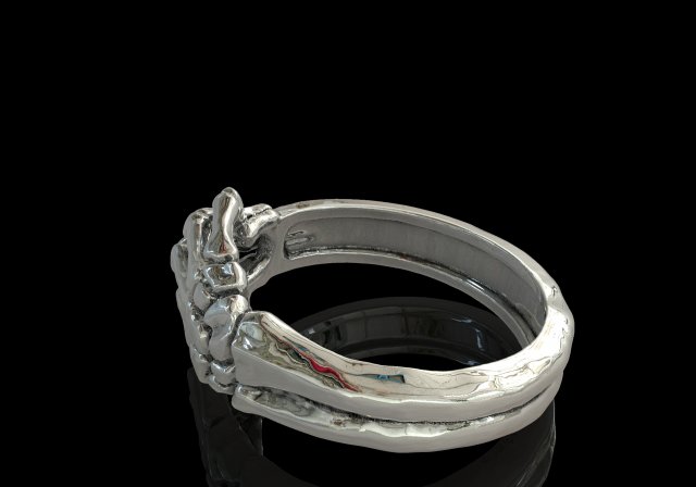 Download silver street jewelry ring i will always be agains 3D Model