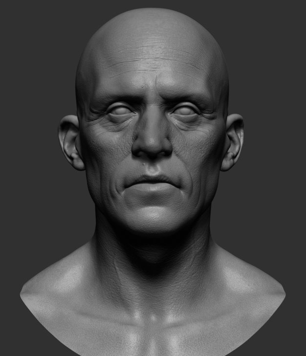 Realistic Male Head 3d Model In Man 3dexport