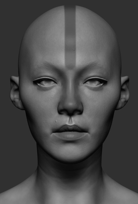 Model