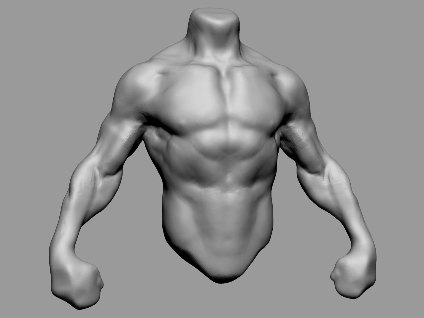 Male Torso v4 3D Model in Anatomy 3DExport