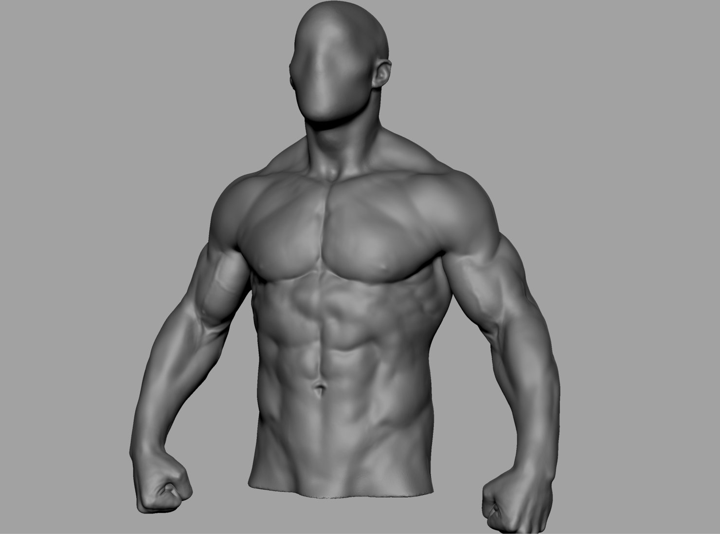 Male Torso V5 3d Model In Anatomy 3dexport