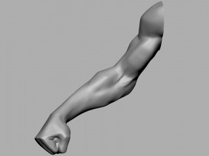 Stylized Arm 3D Model