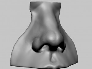 Nose 3D Model