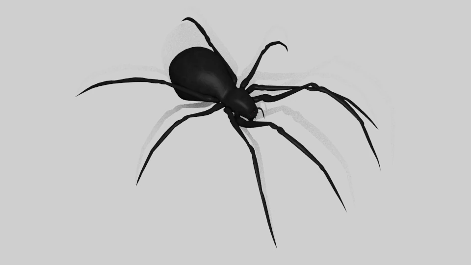 black widow spider rigged 3D Model .c4d .max .obj .3ds .fbx .stl .blend 