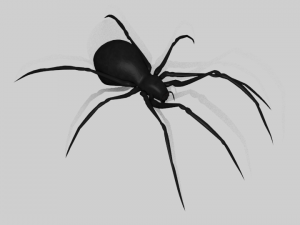 black widow spider rigged 3D Model