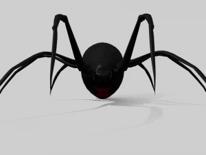 black widow spider rigged 3D Model