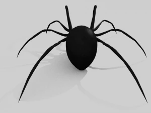 black widow spider rigged 3D Model