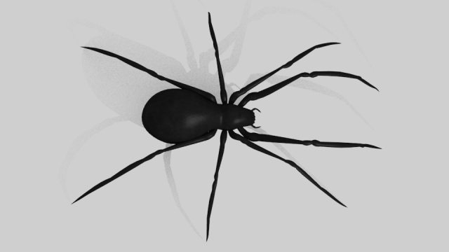 black widow spider rigged 3D Model in Spider 3DExport