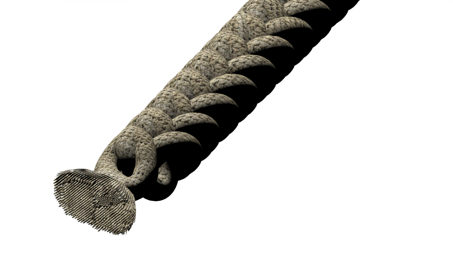 rope 1 3D Model .c4d .max .obj .3ds .fbx .stl .blend 