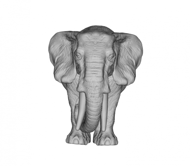 elephant 3d stl Model Cetak 3D .c4d .max .obj .3ds .fbx .stl .blend 