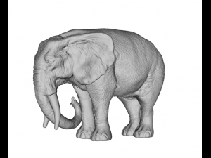 elephant 3d stl Model Cetak 3D