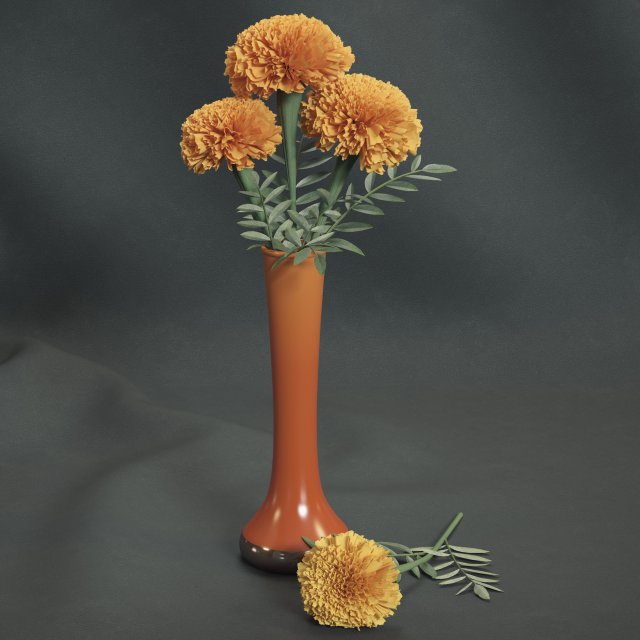 marigolds Modello 3D .c4d .max .obj .3ds .fbx .stl .blend 
