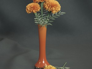 marigolds 3Dモデル