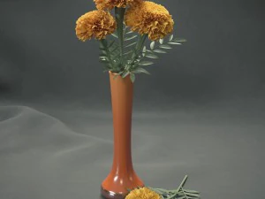 marigolds 3D Model