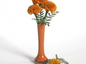 marigolds 3D Model