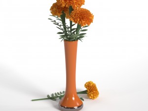 marigolds Modello 3D