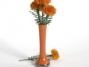 marigolds 3D Model