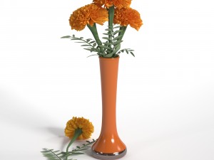marigolds Modello 3D