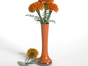 marigolds 3D Model