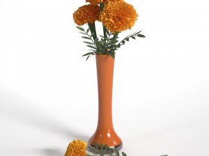 marigolds Modello 3D