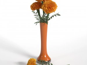 marigolds 3D Model