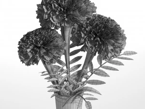 marigolds 3D Model