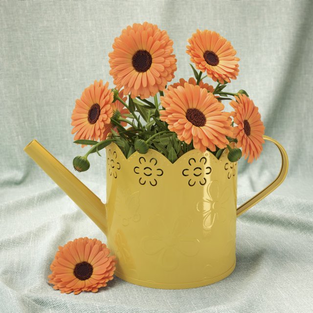 calendula 3D Model .c4d .max .obj .3ds .fbx .stl .blend 