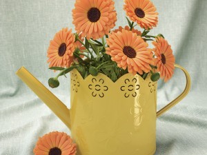calendula Model 3D