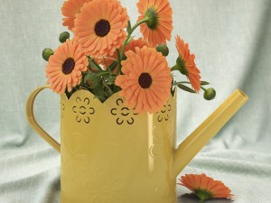 calendula 3D Model
