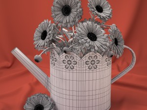 calendula 3D Model