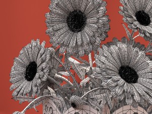 calendula 3D Model