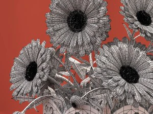 calendula 3D Model