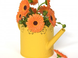 calendula 3D Model