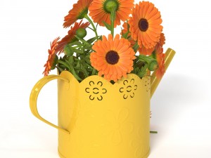 calendula 3D Model