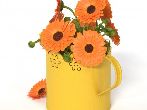 calendula 3D Model
