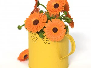 calendula 3D Model