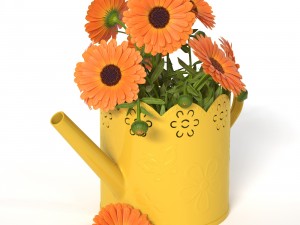 calendula 3D Model