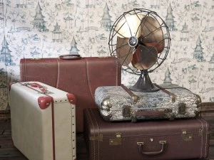 पुराने पंखे और सूटकेस 3D मॉडल