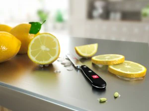 lemons on chopping board 3D Model