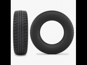 tire bfgoodrich Modello 3D