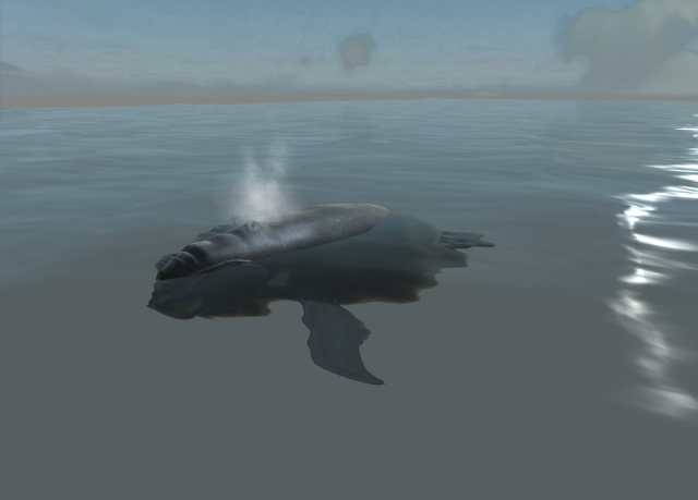 Southern right whale Modelo 3D .c4d .max .obj .3ds .fbx .stl .blend 